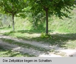 Die Zeltpl&auml;tze liegen im Schatten