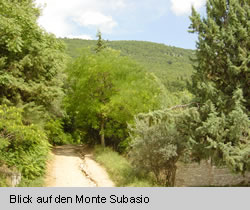 Blick auf denMonte Subasio