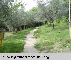 Alles liegt wundersch&ouml;n am Hang