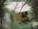 Minipic