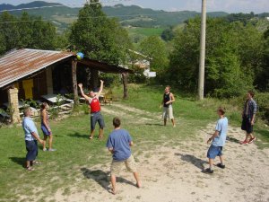 Volleyball