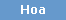 Hoa